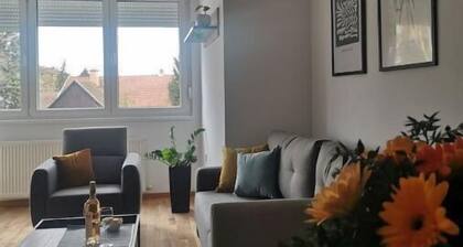 Cozy two-room apartment in the heart of Subotica