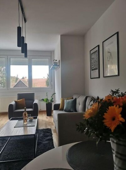Cozy two-room apartment in the heart of Subotica