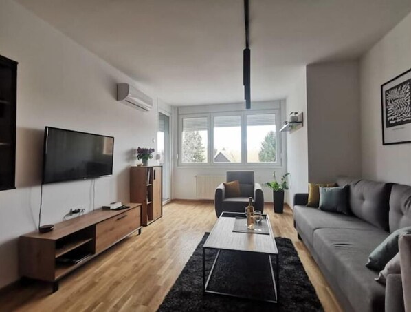 Älytelevisio, kirjoja