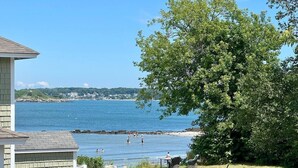 Une vue sur la côte, avec une maison, un arbre et une étendue d’eau.