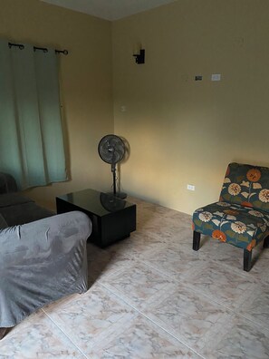 Flat-screen TV