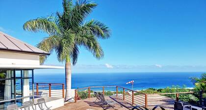 Villa Thenor - villa of 220 m² with swimming pool - Saint-Leu