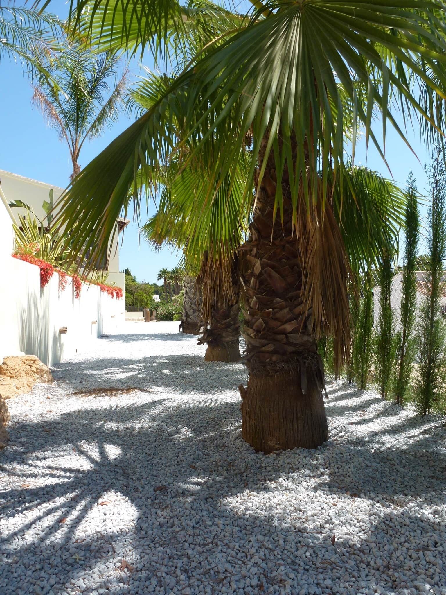 Parco della struttura