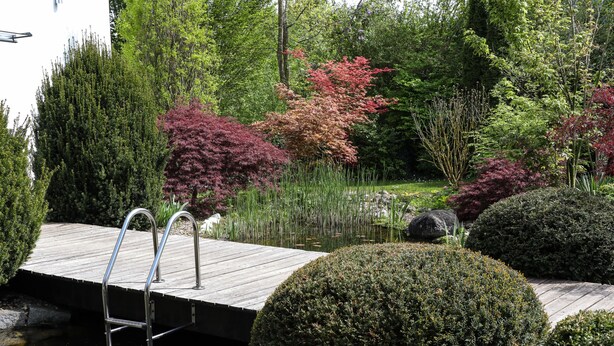 Una terraza de madera con una escalera metálica que da a un estanque, rodeada de arbustos y árboles.
