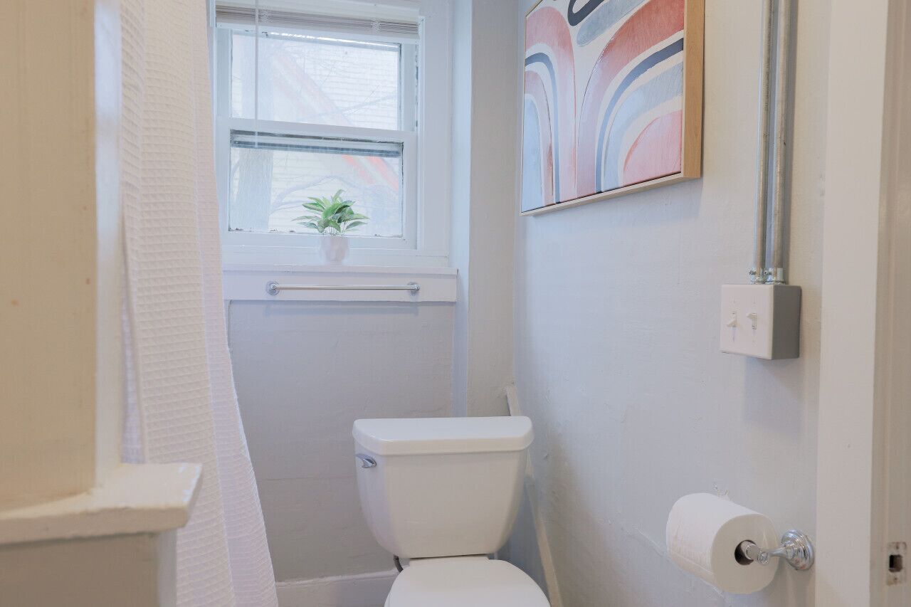 Een kleine, witte badkamer met toilet, een raam met een plant en een aan de muur hangend schilderij.