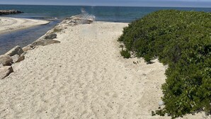 En sandig stig som leder ner till havet, med klippor på ena sidan och grönskande växtlighet på den andra.