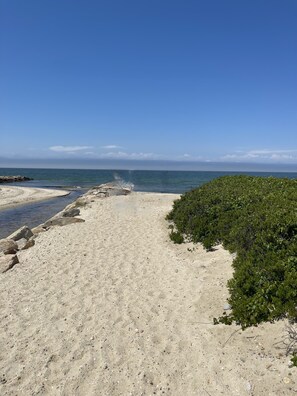 Sun-loungers, beach towels