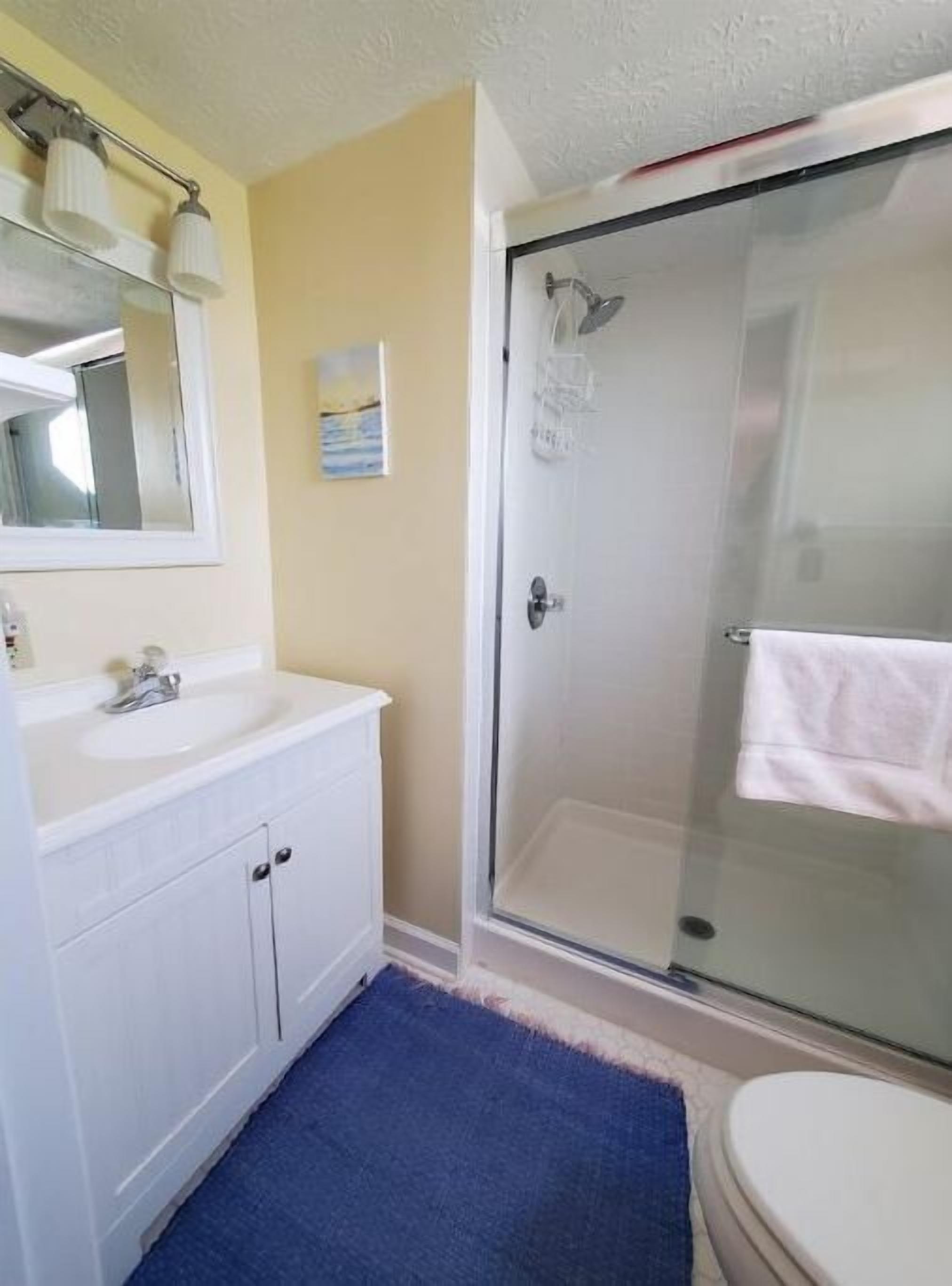 Home Port - A 4BR find in the heart of Davis,WV