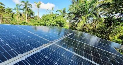 Eco-Bungalow Nature Sustainability