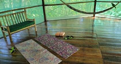 Eco-Bungalow Nature Sustainability