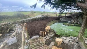 A rustic stone wall with a wooden gate, a small stream, and a grassy field in the background. - Swift Vogue Edition Caravan (Holyhead)