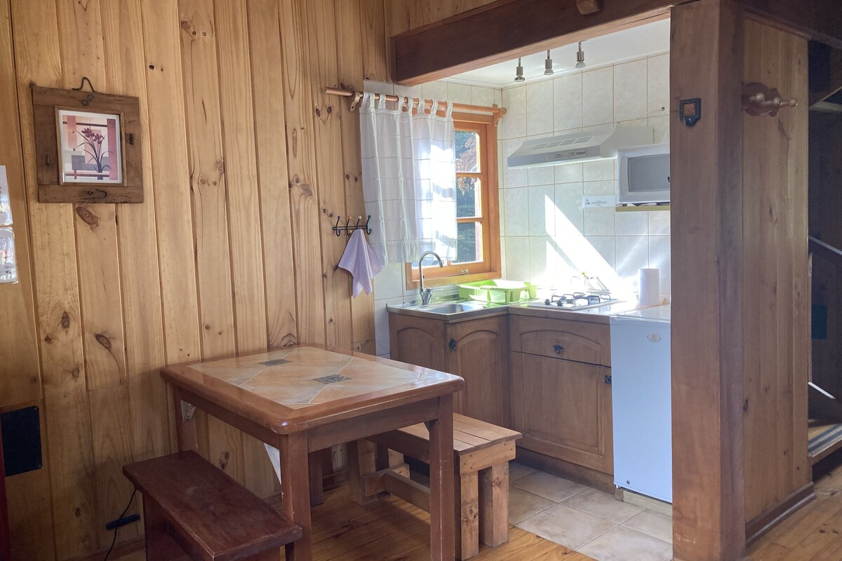 Een houten interieur met een keukenhoek, inclusief een spoelbak, aanrecht en houten kastjes.