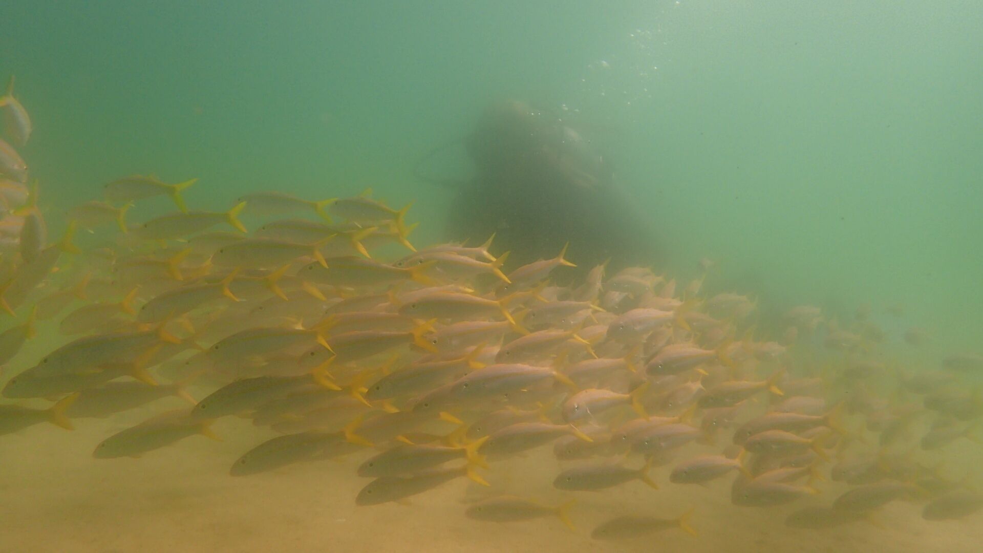 White Sand Beach Front Home