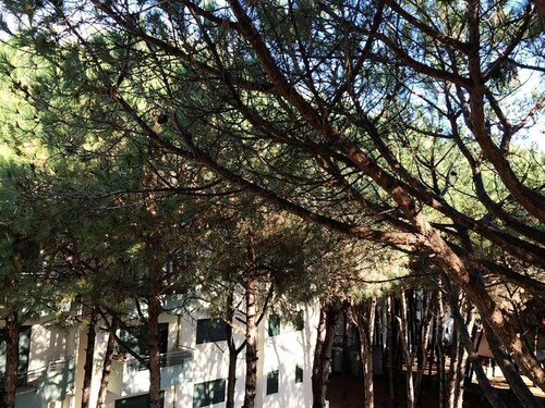 Golem Apartments a home Away from Home.