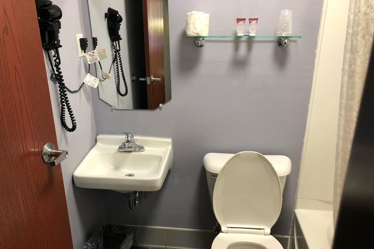 Towels, soap, shampoo, toilet paper