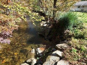 A clear stream with rocks and autumn foliage, surrounded by trees and a house in the background.