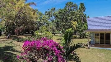 Executive Villa | Garden view