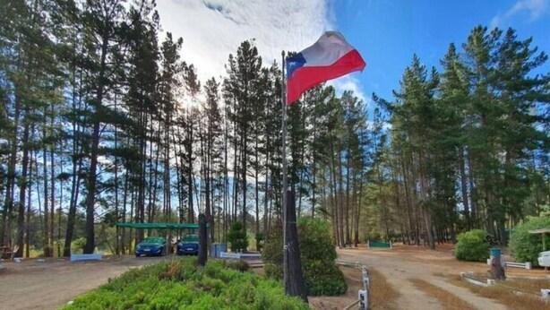Un asta de bandera con una bandera, rodeada de un área ajardinada con arbustos pequeños y rocas, y un bosque de fondo.