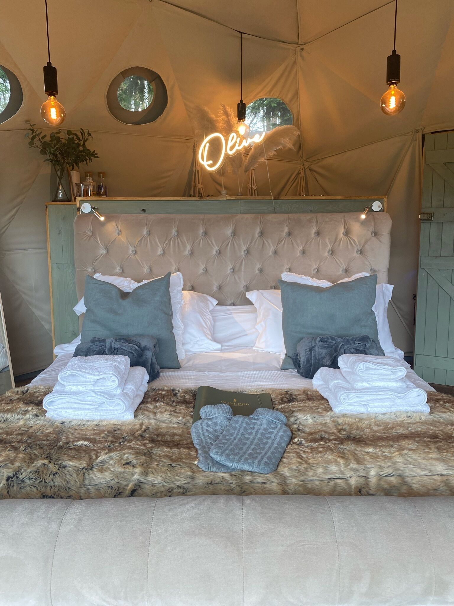 Romantic Geo Dome Home With log Fired hot tub