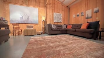 Een smart-tv, een open haard en boeken