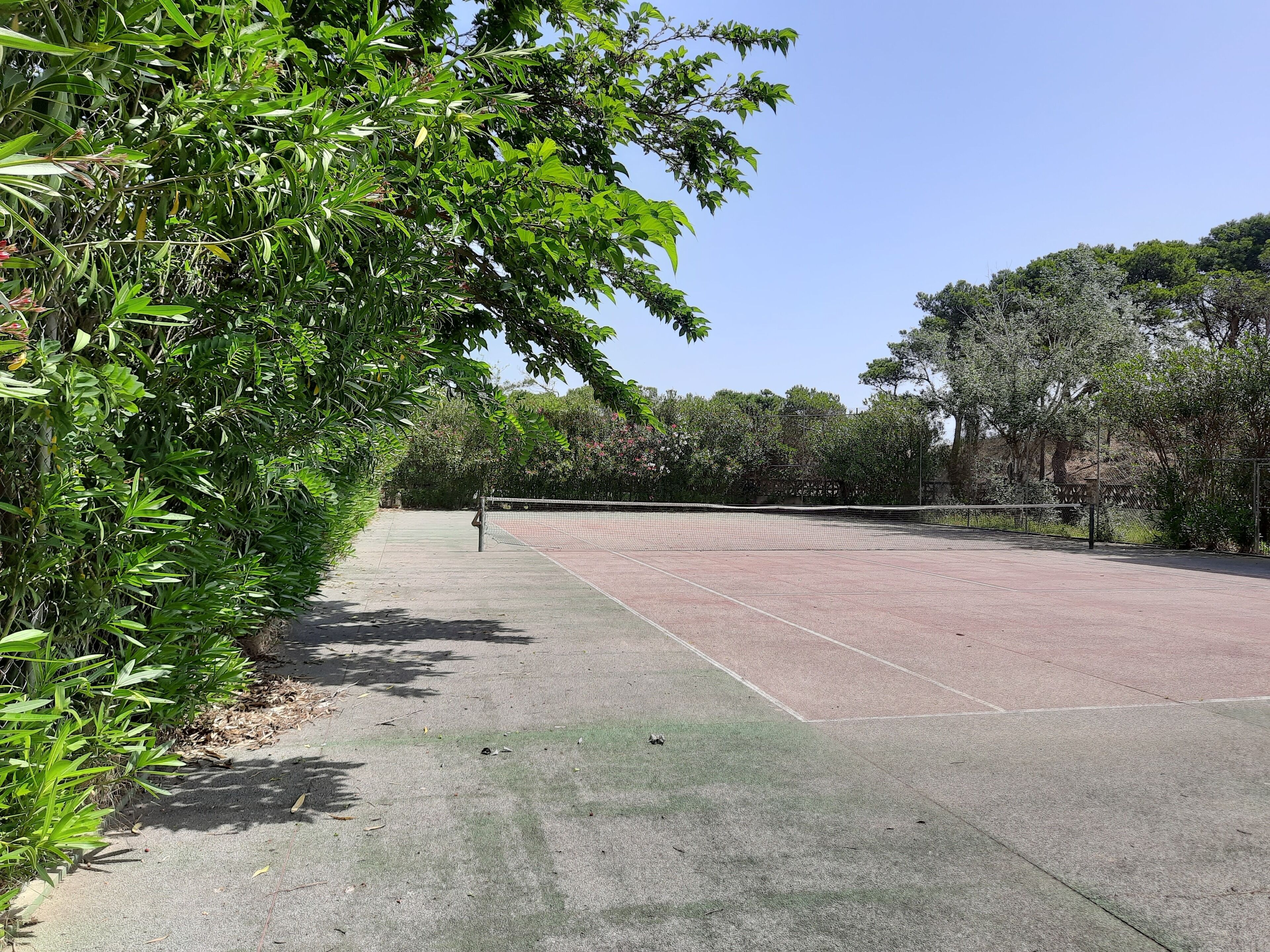 Un court de tennis avec un filet, entouré d’un feuillage verdoyant et dense et d’arbres.