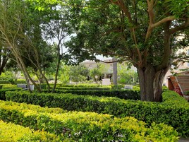 Habitación cuádruple familiar, vistas al jardín, planta baja | Vistas desde la habitación