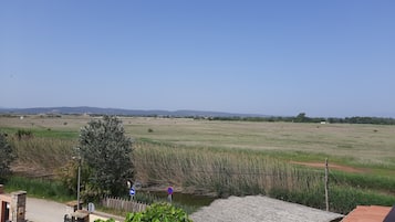 Ett lantligt landskap med en klar himmel, en åker och en byggnad med ett tak täckt av tegelpannor.