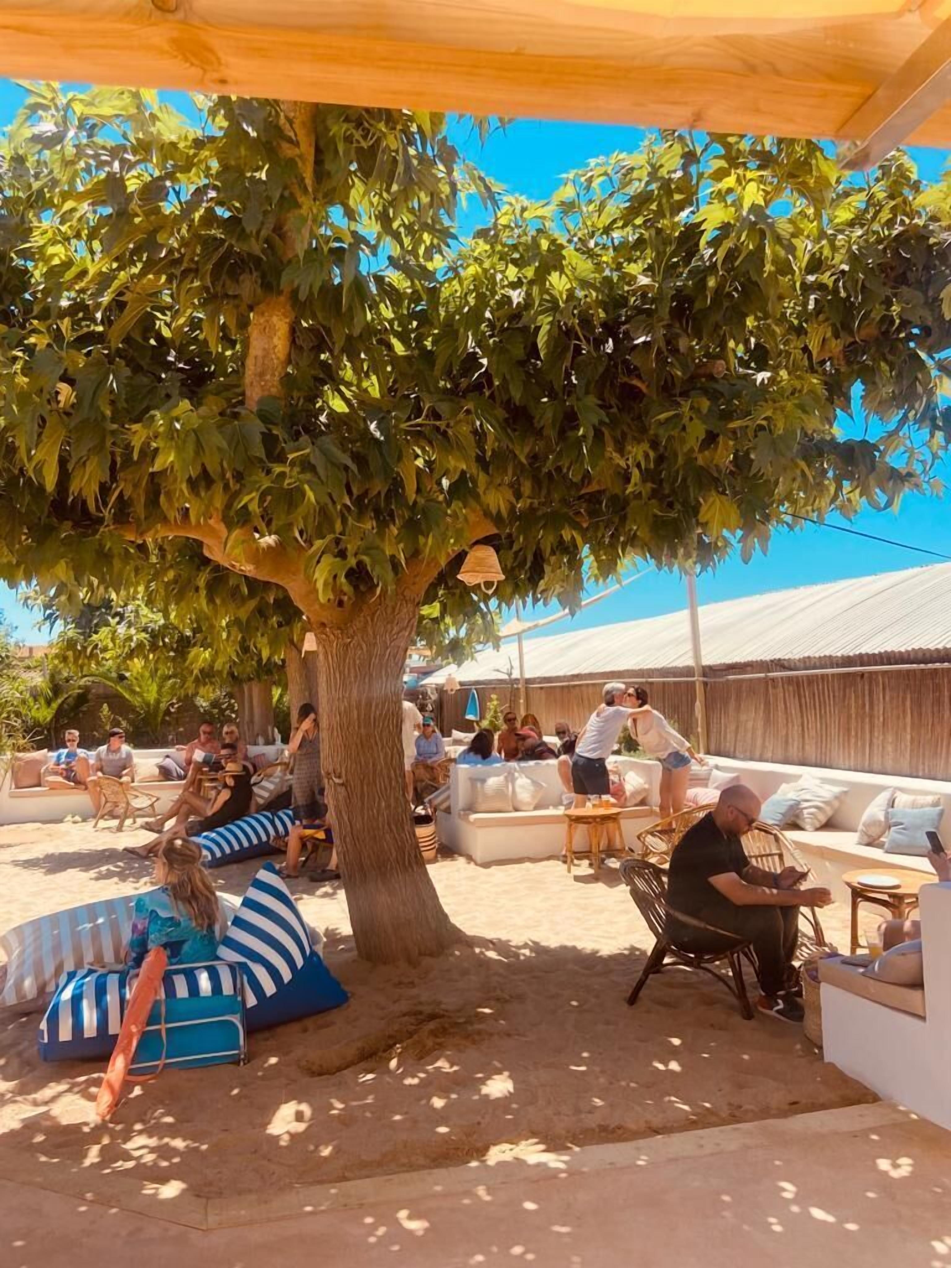 A covered outdoor seating area with sofas and chairs under a tree, surrounded by a fence.