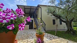 Une maison avec un chemin de pierres menant à une porte, entourée de plantes en pot et d’un arbre.
