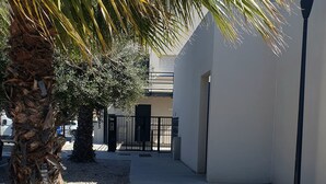 Un camino bordeado de palmeras y un edificio de diseño moderno.