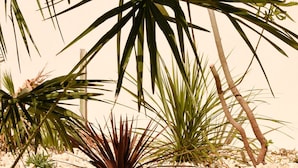 Un jardin avec différentes espèces de plantes et un chemin de gravier.