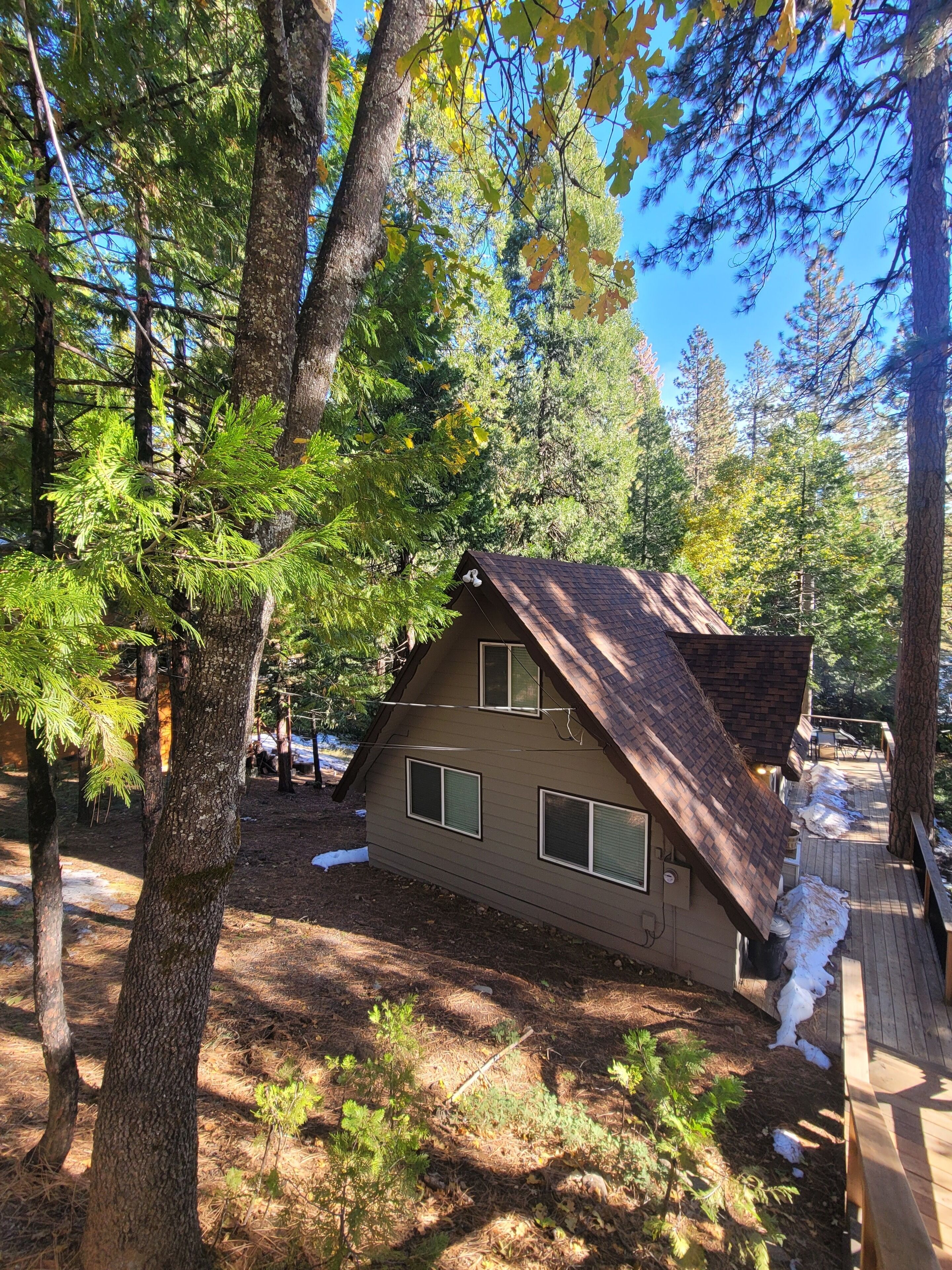 Arnold Oasis **Blue Lake Springs**