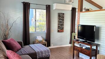 TV connectée, lecteur de DVD, livres