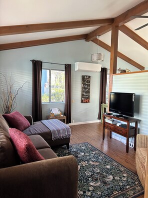 Smart-TV, DVD-Player, Bücher