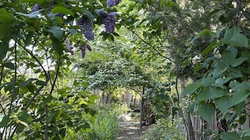 Jardines del alojamiento