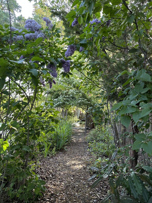 Property grounds - Robin's Nest - 
Cozy & quiet guest house minutes from historic downtown Mariposa (Mariposa)