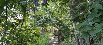 Robin's Nest - 
Cozy & quiet guest house minutes from historic downtown Mariposa