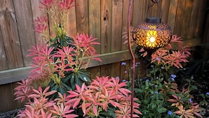 Un jardin agrémenté de diverses plantes et d’un lampadaire décoratif en métal.