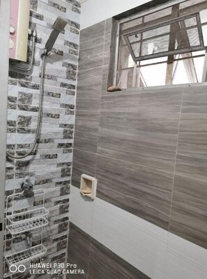 Douche, bidet, serviettes fournies, papier toilette