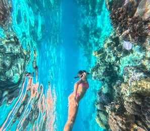 Divers