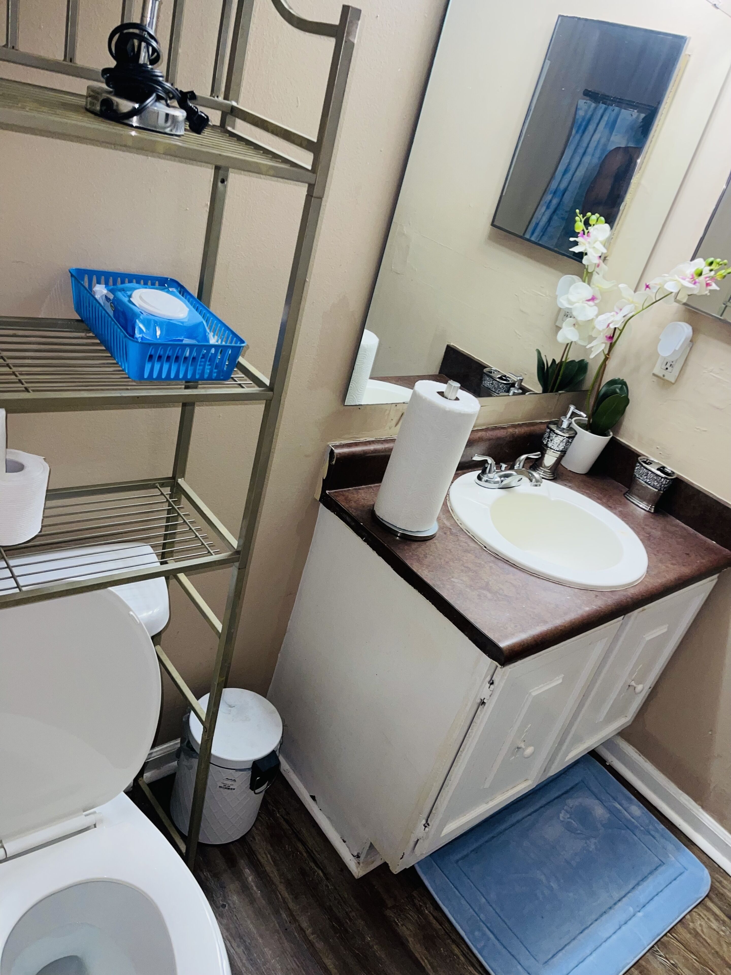 Beautiful Tallahassee Home 3/2 