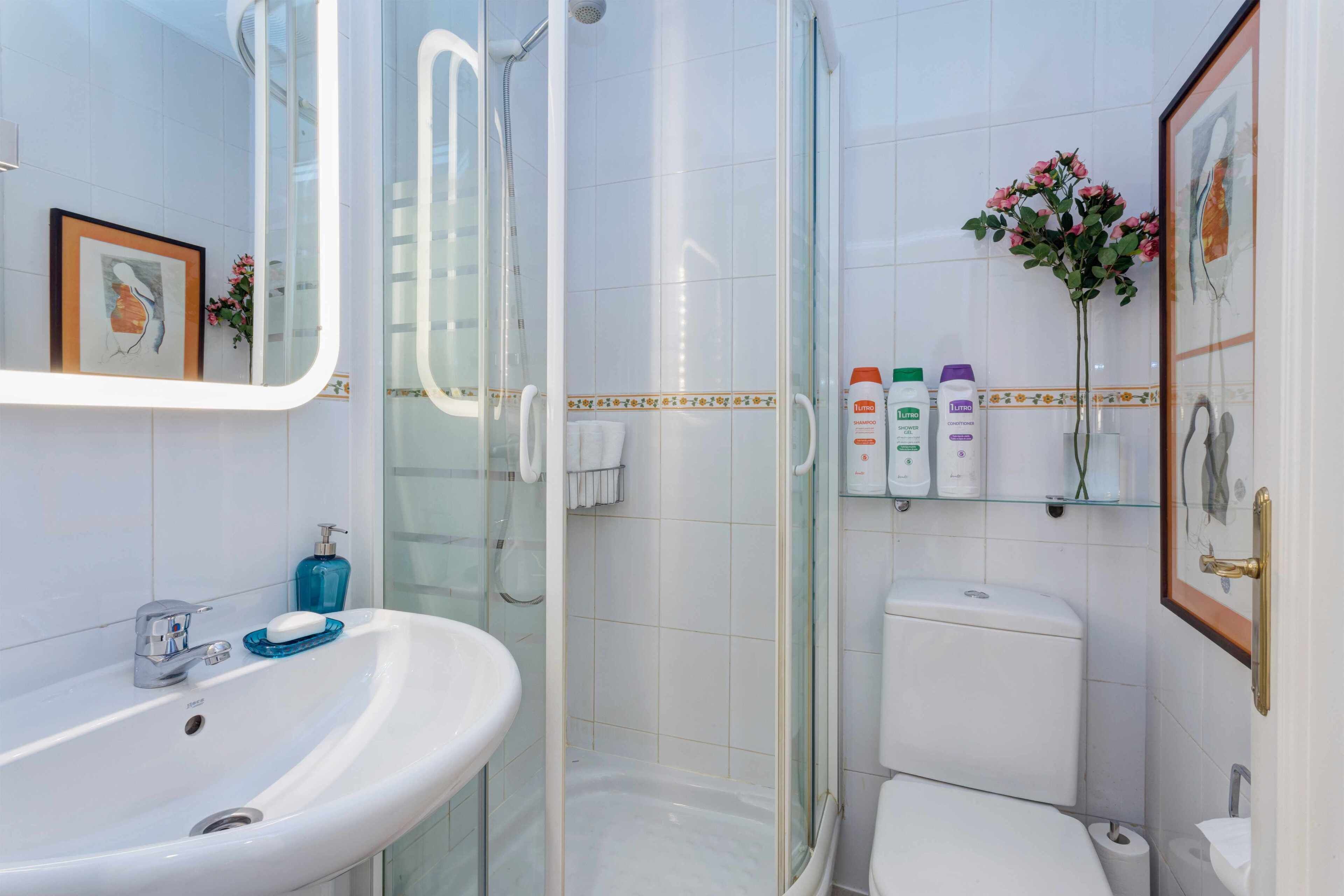 Bañera, secador de pelo, toallas