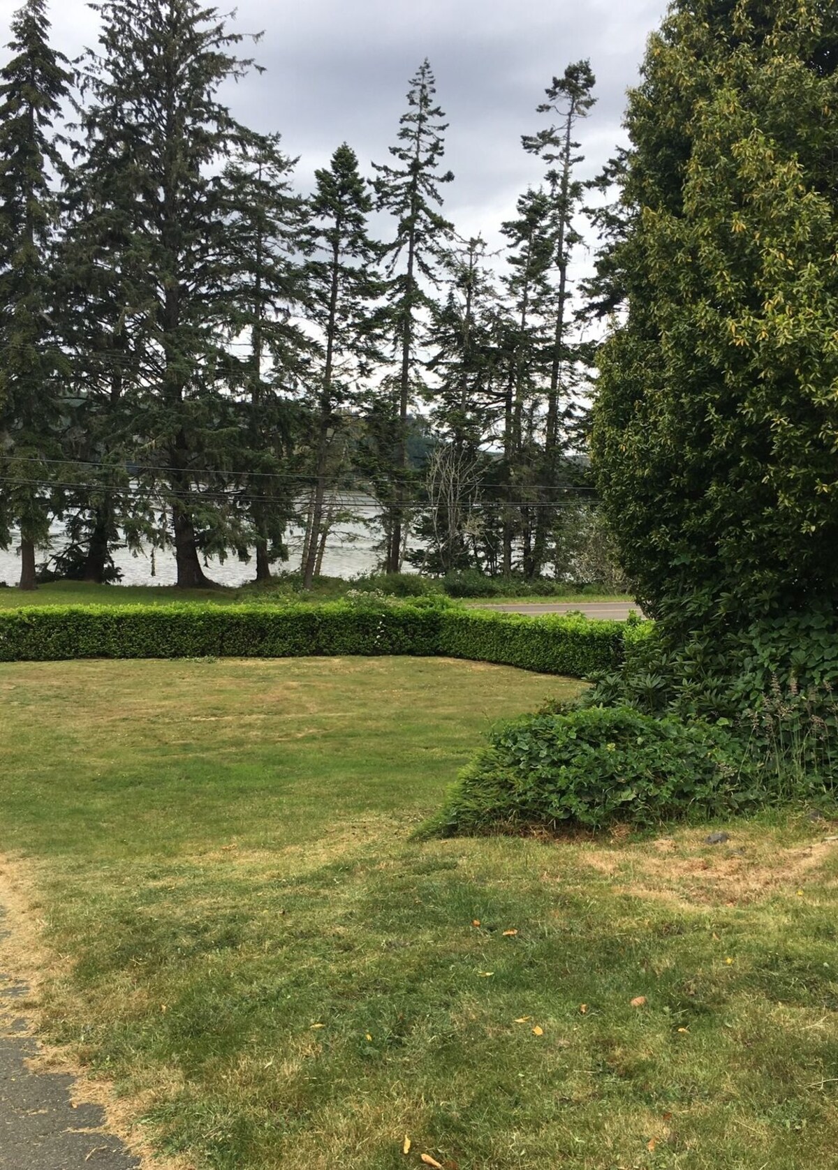 Imagen de perfil del propietario o de la propietaria