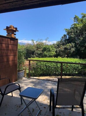 Terrace/patio - ARANJUEZ LOFTS - Japanese Loft #10 with balcony (Santa Ana)