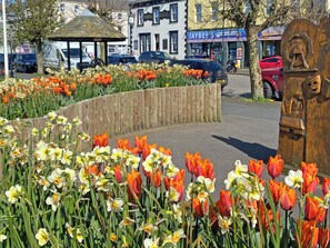 Un parterre de tulipes et de jonquilles dans un espace public, avec un kiosque, un hôtel et un magasin en arrière-plan.