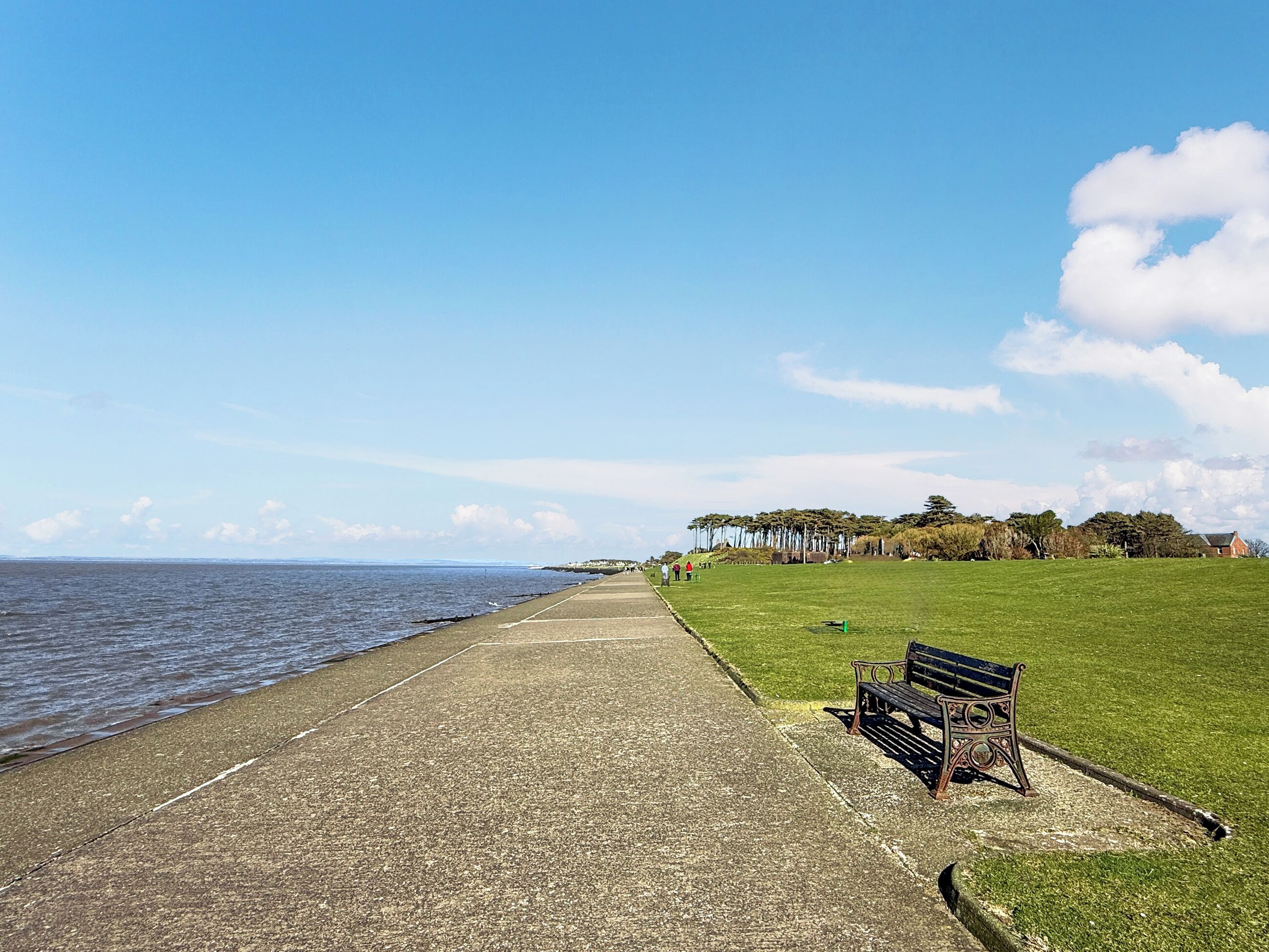Een kustpad met een bankje, een grasveld en bomen op de achtergrond.