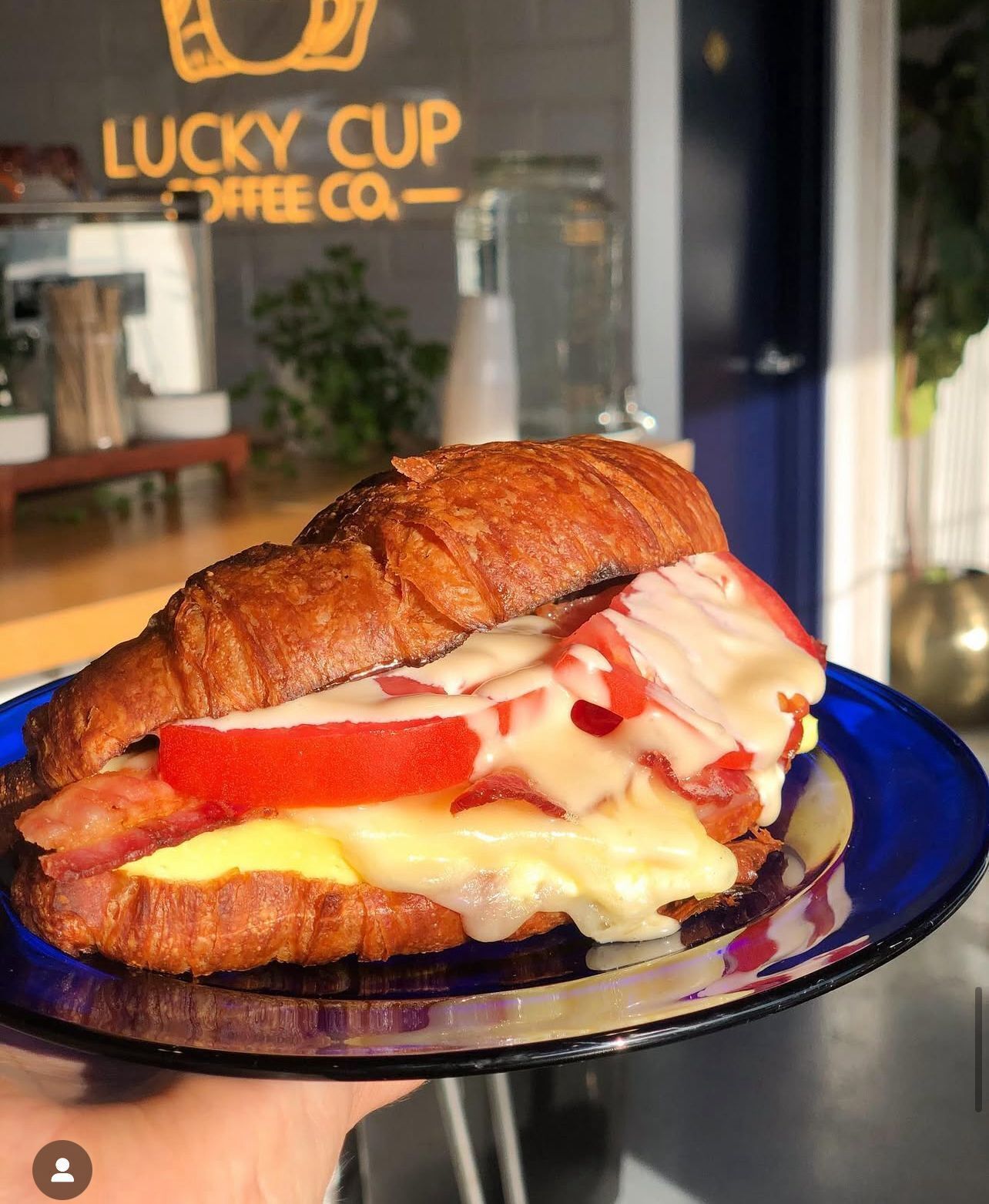 Un sandwich au fromage fondu, à la tomate et au jambon, servi sur une assiette bleue.