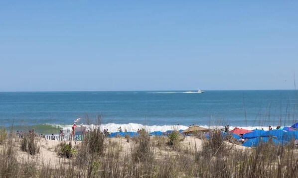 Strand