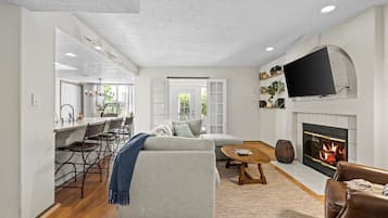Smart TV, fireplace, books