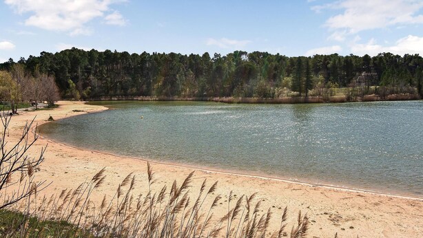 A sandy beach with clear water, surrounded by dense forest. - 2 bedroom amazing apartment in Carpentras (Carpentras)